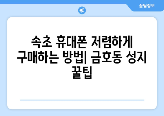 강원도 속초시 금호동 휴대폰 성지 좌표| 최신 가격 정보 & 추천 매장 | 속초 휴대폰, 저렴한 휴대폰, 휴대폰 성지