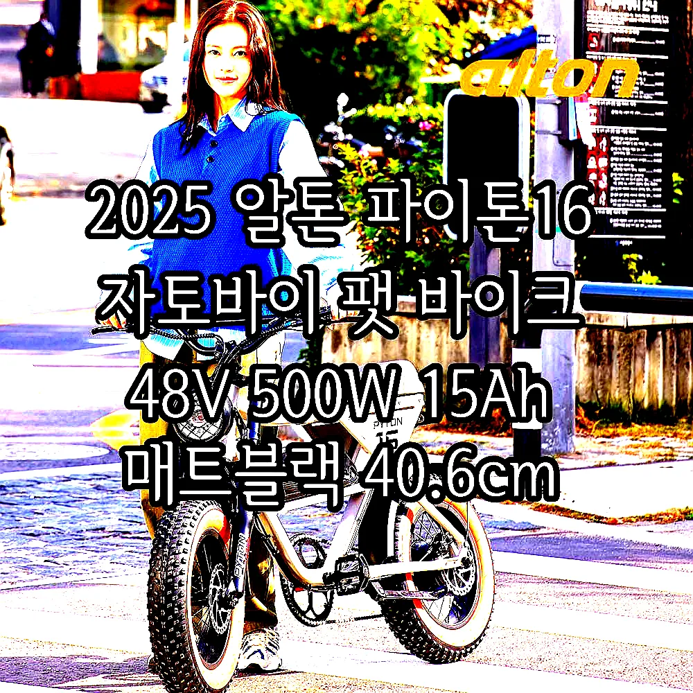 2025 알톤 파이톤16 자토바이 팻 바이크 48V 500W 15Ah 매트블랙 40.6cm 99%조립 이미지 2