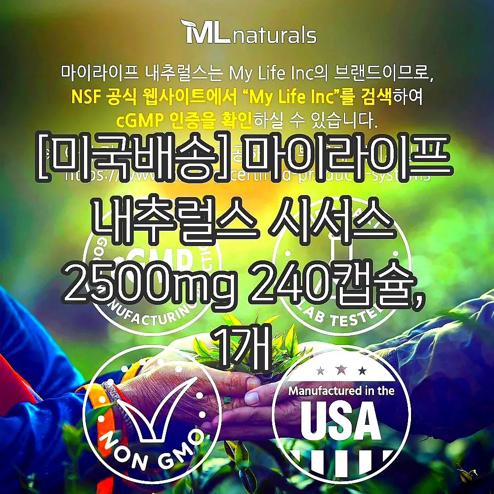[미국배송] 마이라이프 내추럴스 시서스 2500mg 240캡슐, 1개 이미지 4