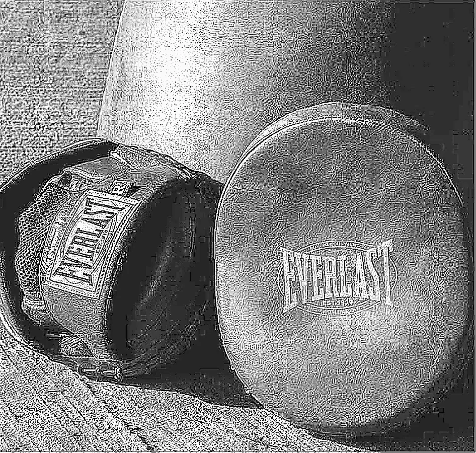 에버라스트 복싱미트 전문복서용 천연가죽 위닝 펀칭 스파링 미트 이미지 6