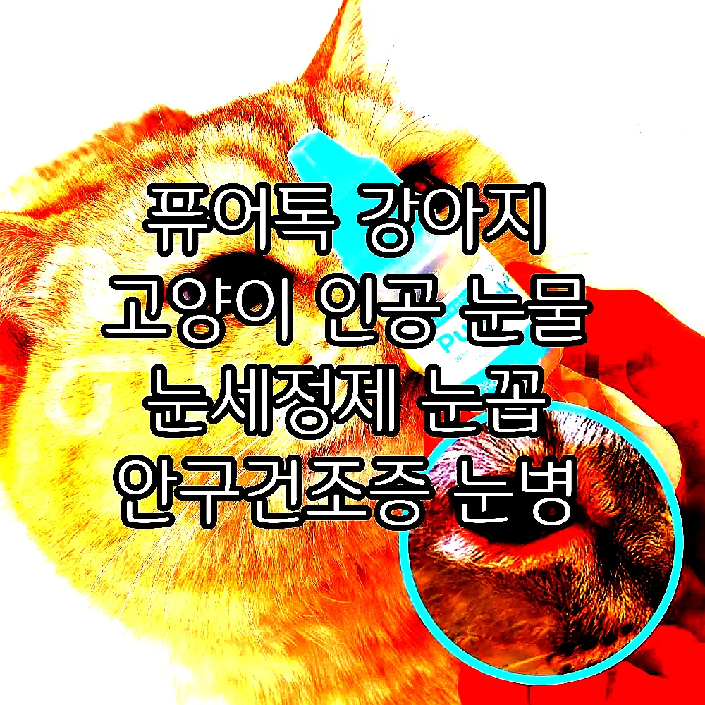 퓨어톡 강아지 고양이 인공 눈물 눈세정제 눈꼽 안구건조증 눈병 일회용 20ml, 1개 이미지 7 퓨어톡 강아지 고양이 인공 눈물 눈세정제 눈꼽 안구건조증 눈병 일회용 20ml, 1개 이미지 7