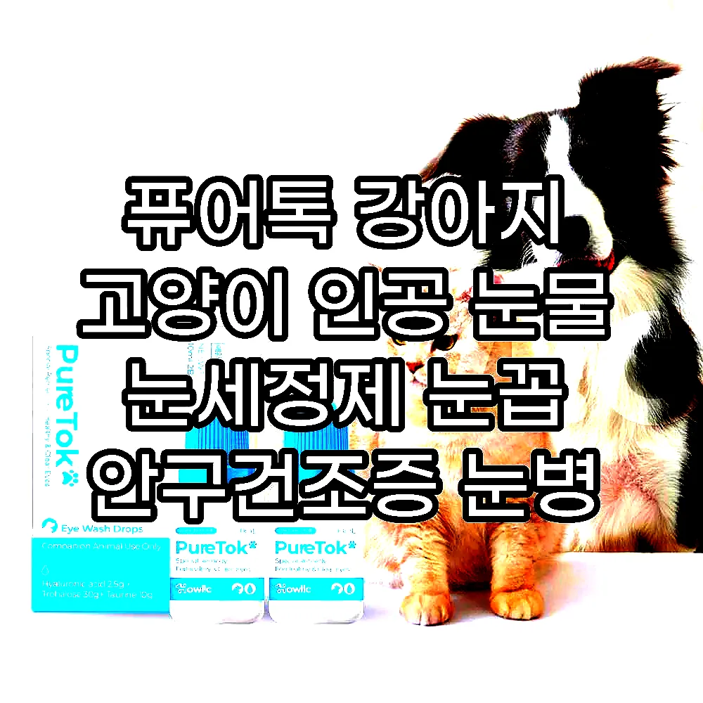 퓨어톡 강아지 고양이 인공 눈물 눈세정제 눈꼽 안구건조증 눈병 일회용 20ml, 1개 이미지 4 퓨어톡 강아지 고양이 인공 눈물 눈세정제 눈꼽 안구건조증 눈병 일회용 20ml, 1개 이미지 4